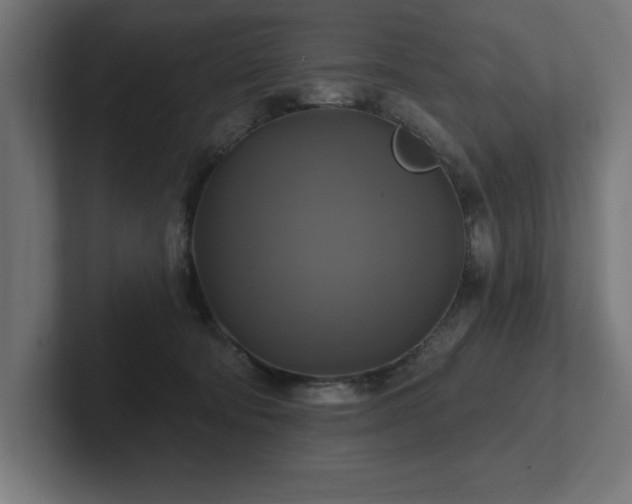 X0000102410322200808011613