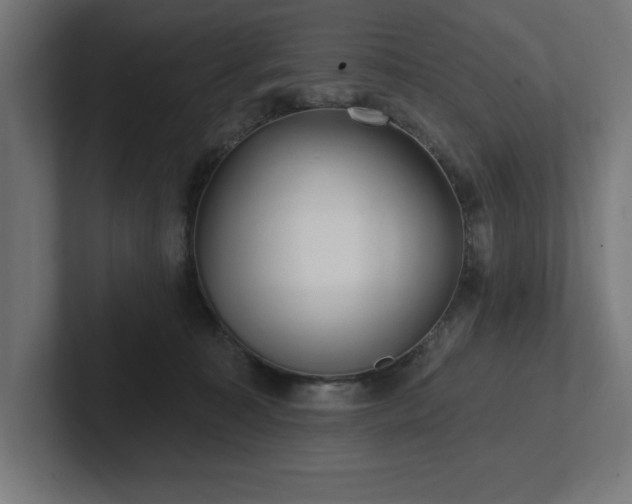 X0000102410323200808011613