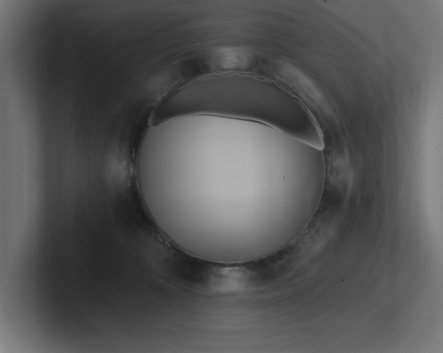 X0000102410324200808011613