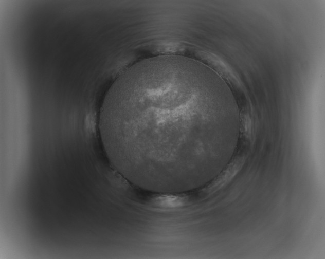 X0000102410326200808011613