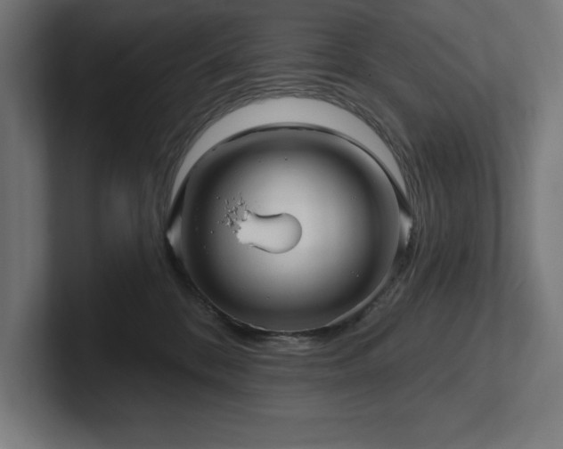 X0000102410328200808011613