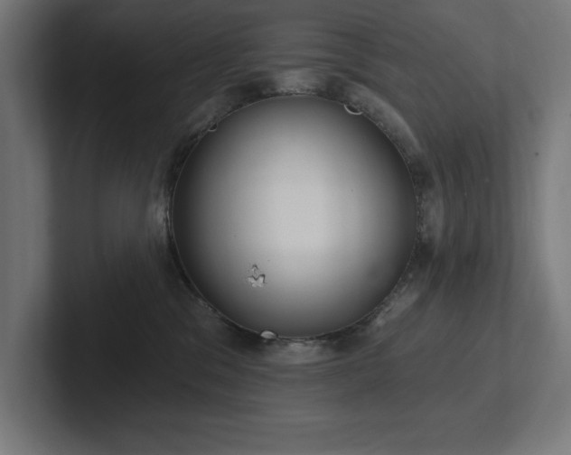 X0000102410329200808011613