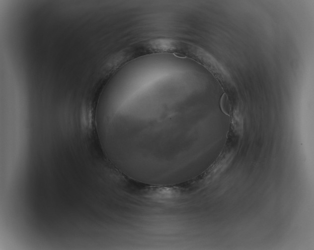 X0000102410330200808011613