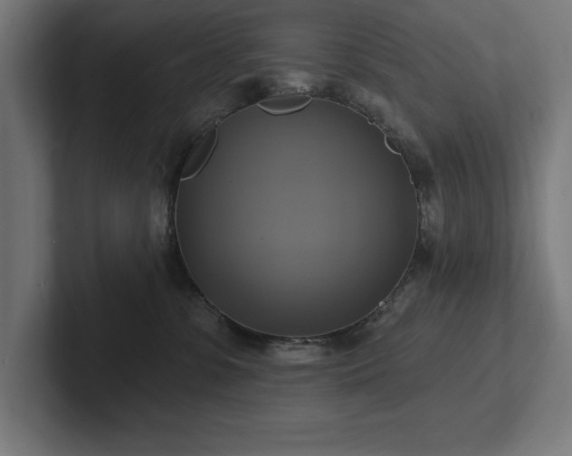 X0000102410331200808011613