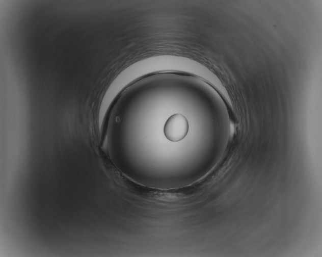 X0000102410332200808011613