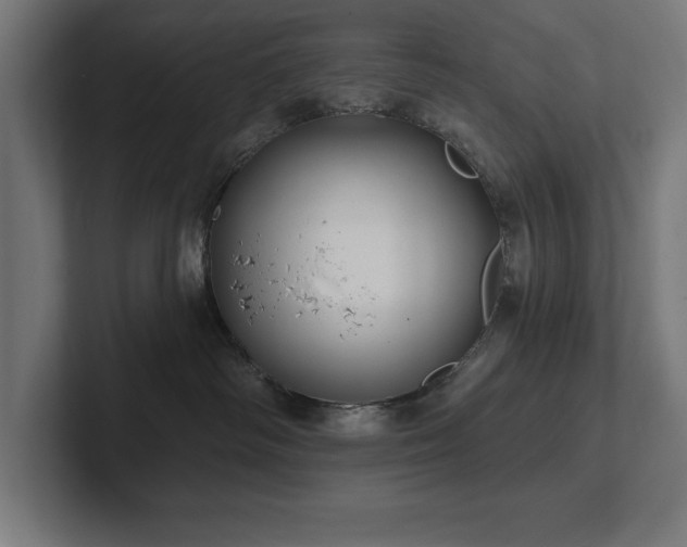 X0000102410334200808011613