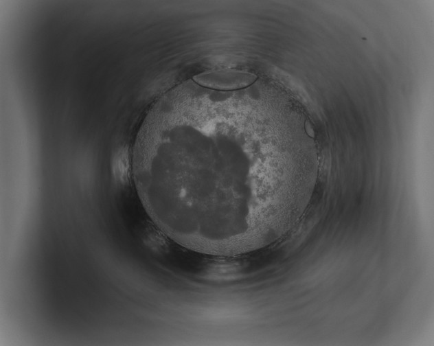 X0000102410335200808011613