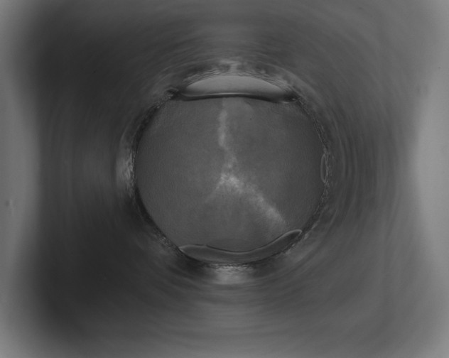 X0000102410336200808011613