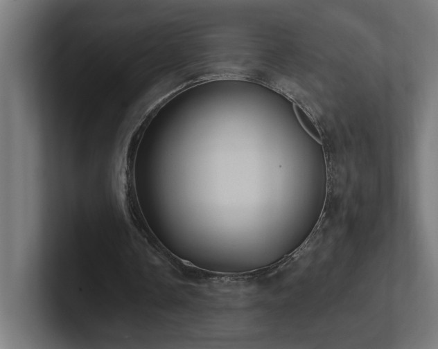 X0000102410338200808011612