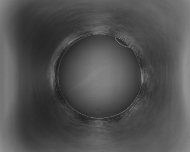 X0000102410339200808011612