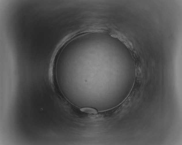 X0000102410340200808011612