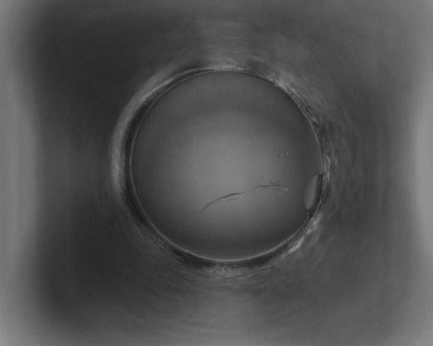 X0000102410343200808011612