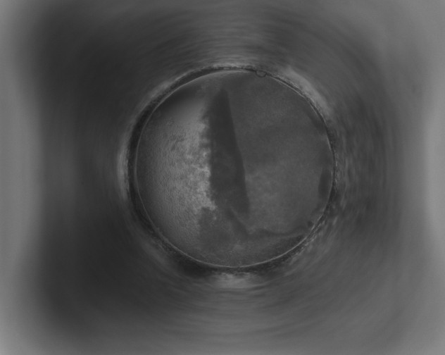 X0000102410346200808011612