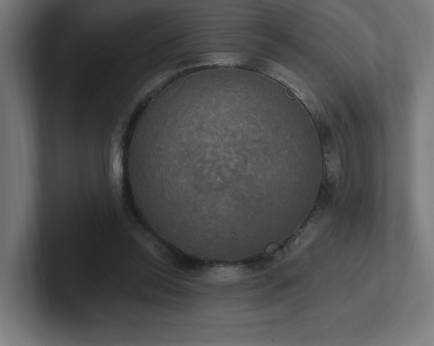 X0000102410350200808011612