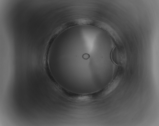 X0000102410357200808011612