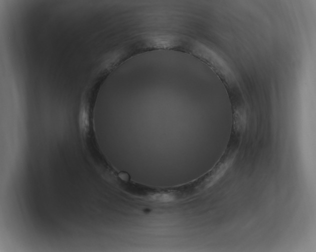 X0000102410358200808011612