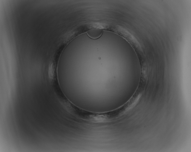 X0000102410359200808011612