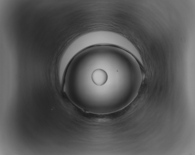 X0000102410360200808011612