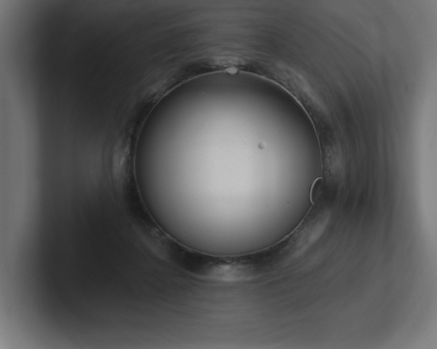 X0000102410364200808011612