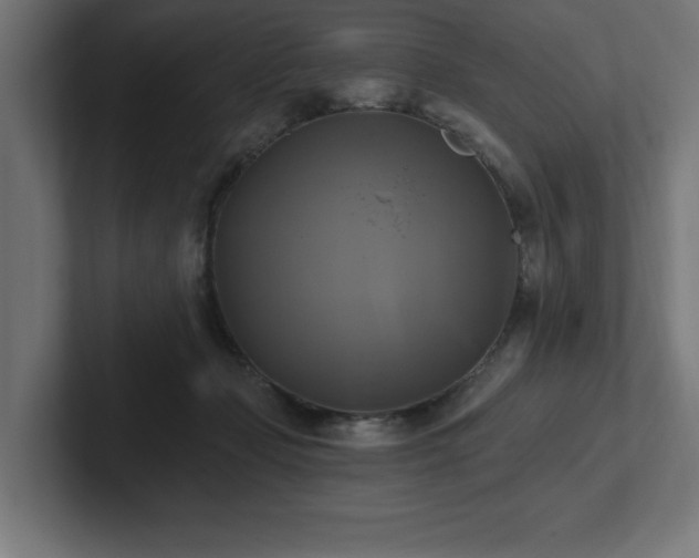 X0000102410365200808011613