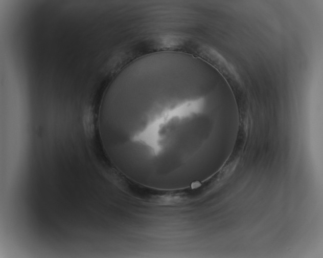 X0000102410366200808011613