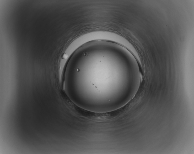 X0000102410368200808011613