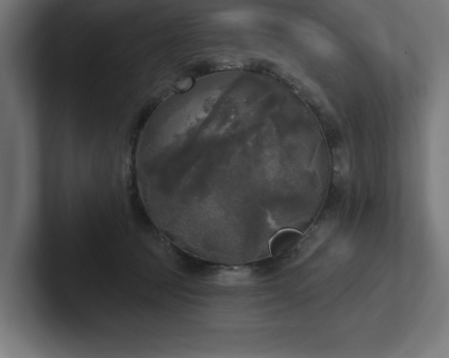 X0000102410369200808011613