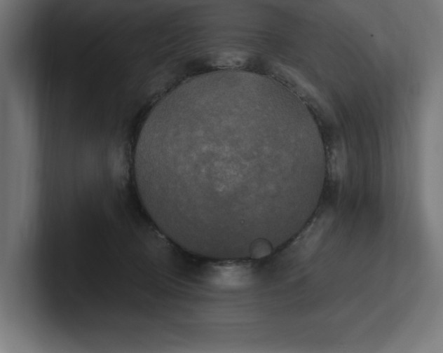 X0000102410370200808011613