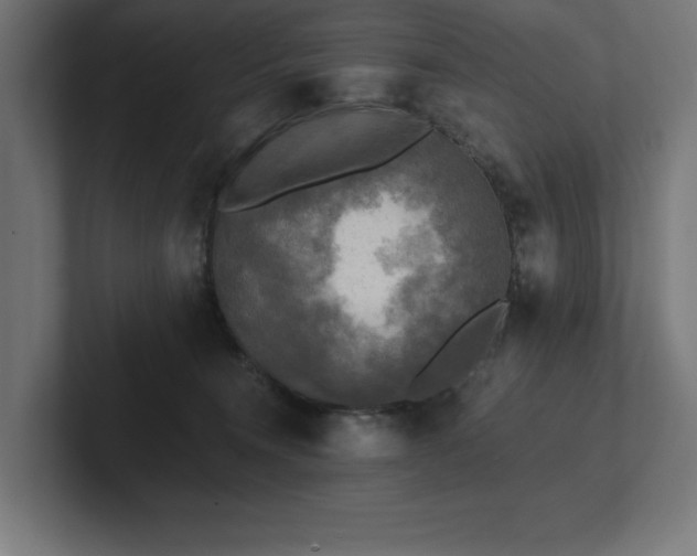 X0000102410372200808011613