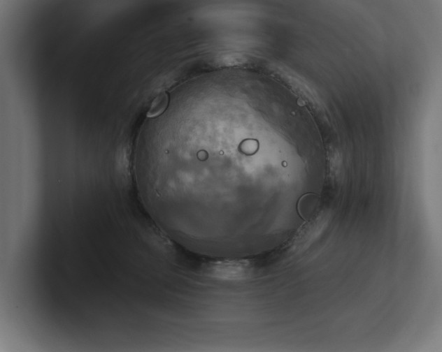 X0000102410373200808011613