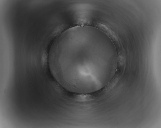 X0000102410375200808011613