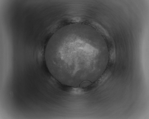 X0000102410376200808011613