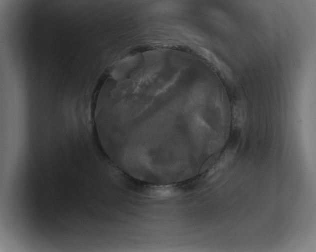 X0000102410377200808011613