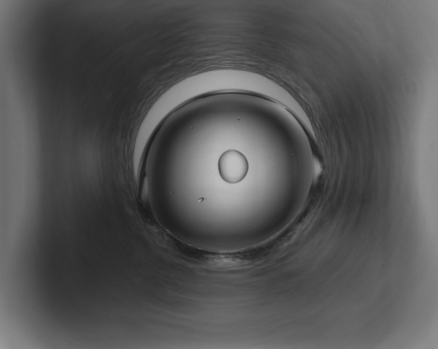 X0000102410380200808011613