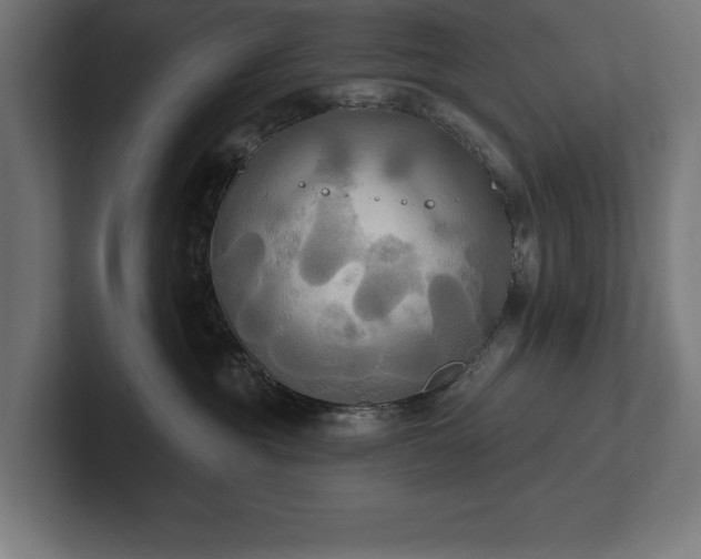 X0000102410381200808011613