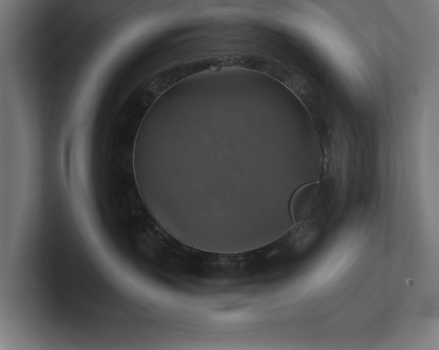 X0000102410383200808011613