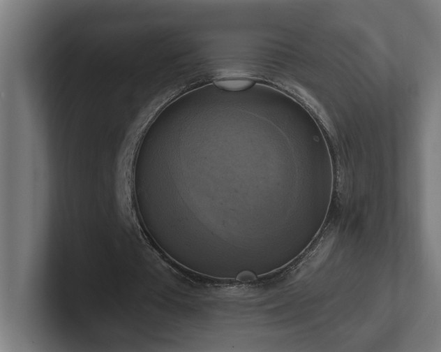 X0000102410385200808011612