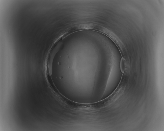 X0000102410386200808011612