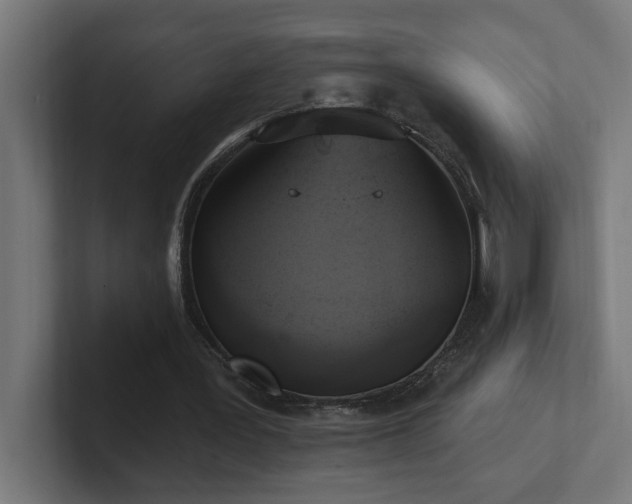 X0000102410387200808011612