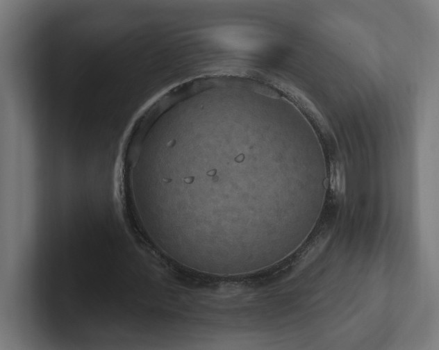 X0000102410388200808011612