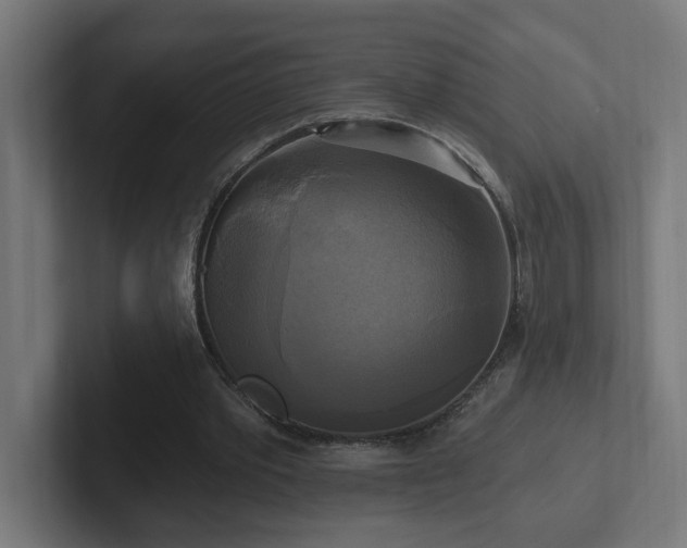 X0000102410389200808011612