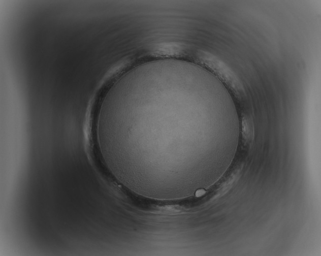 X0000102410396200808011612