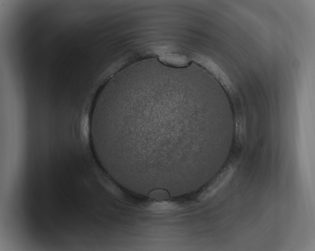 X0000102410397200808011612