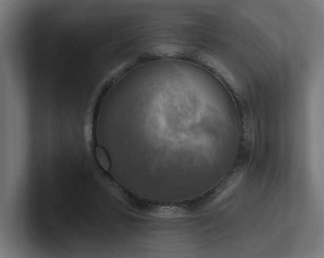 X0000102410399200808011612