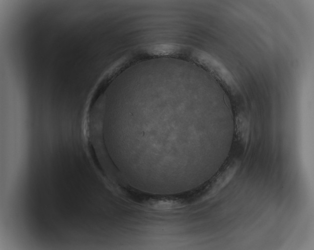 X0000102410400200808011612