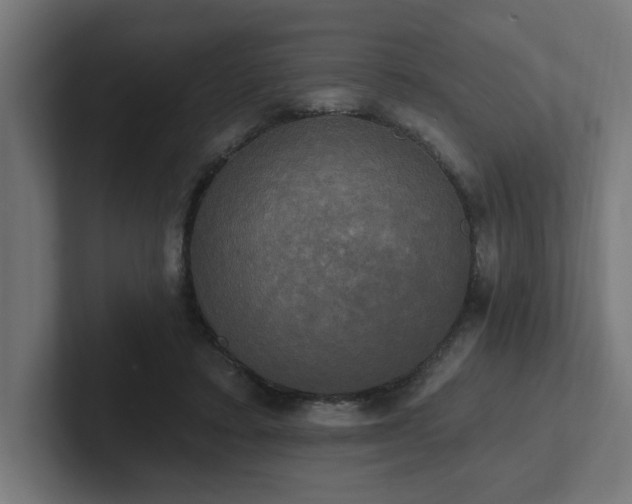 X0000102410403200808011612