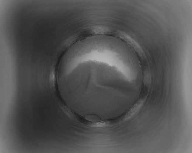 X0000102410405200808011612