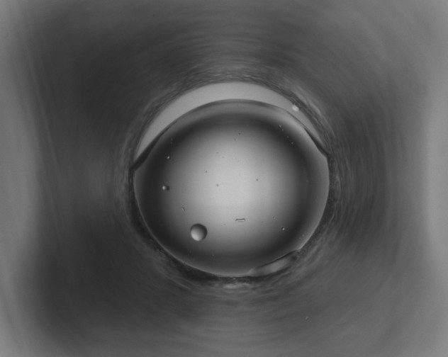 X0000102410407200808011612