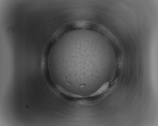 X0000102410408200808011612