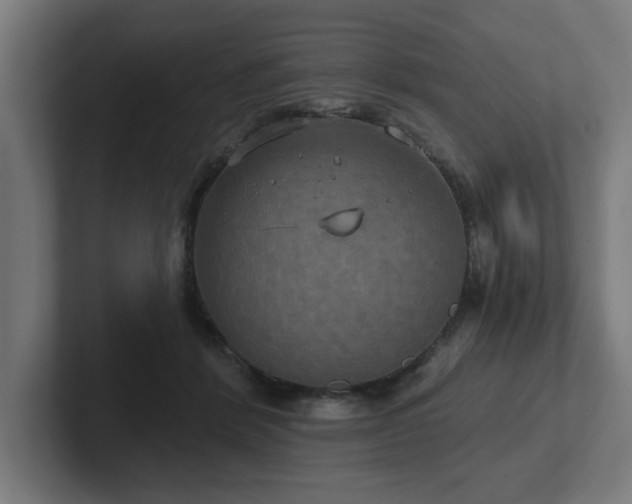 X0000102410412200808011612